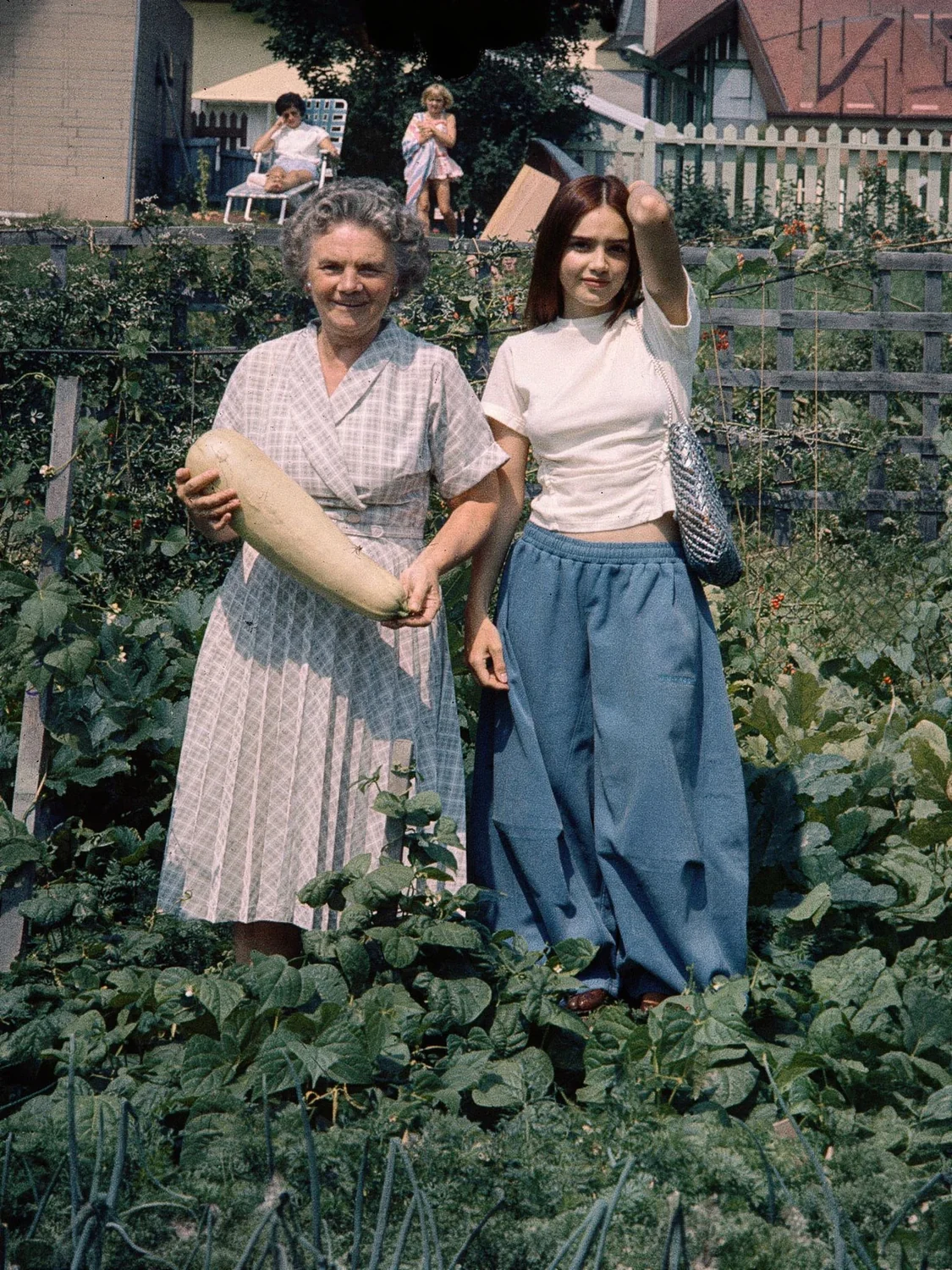 Kodachrome, courgette