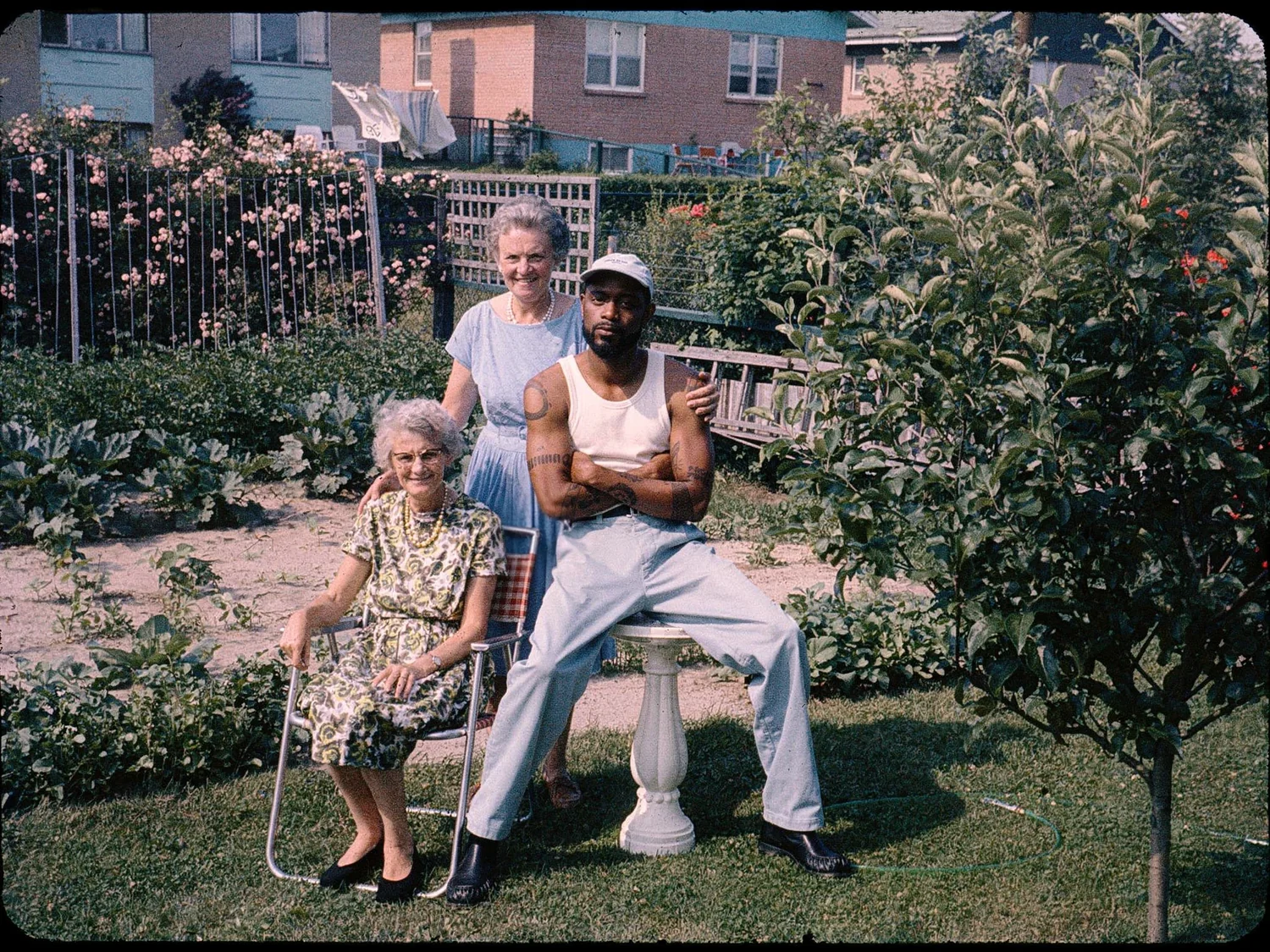 Kodachrome, jardin