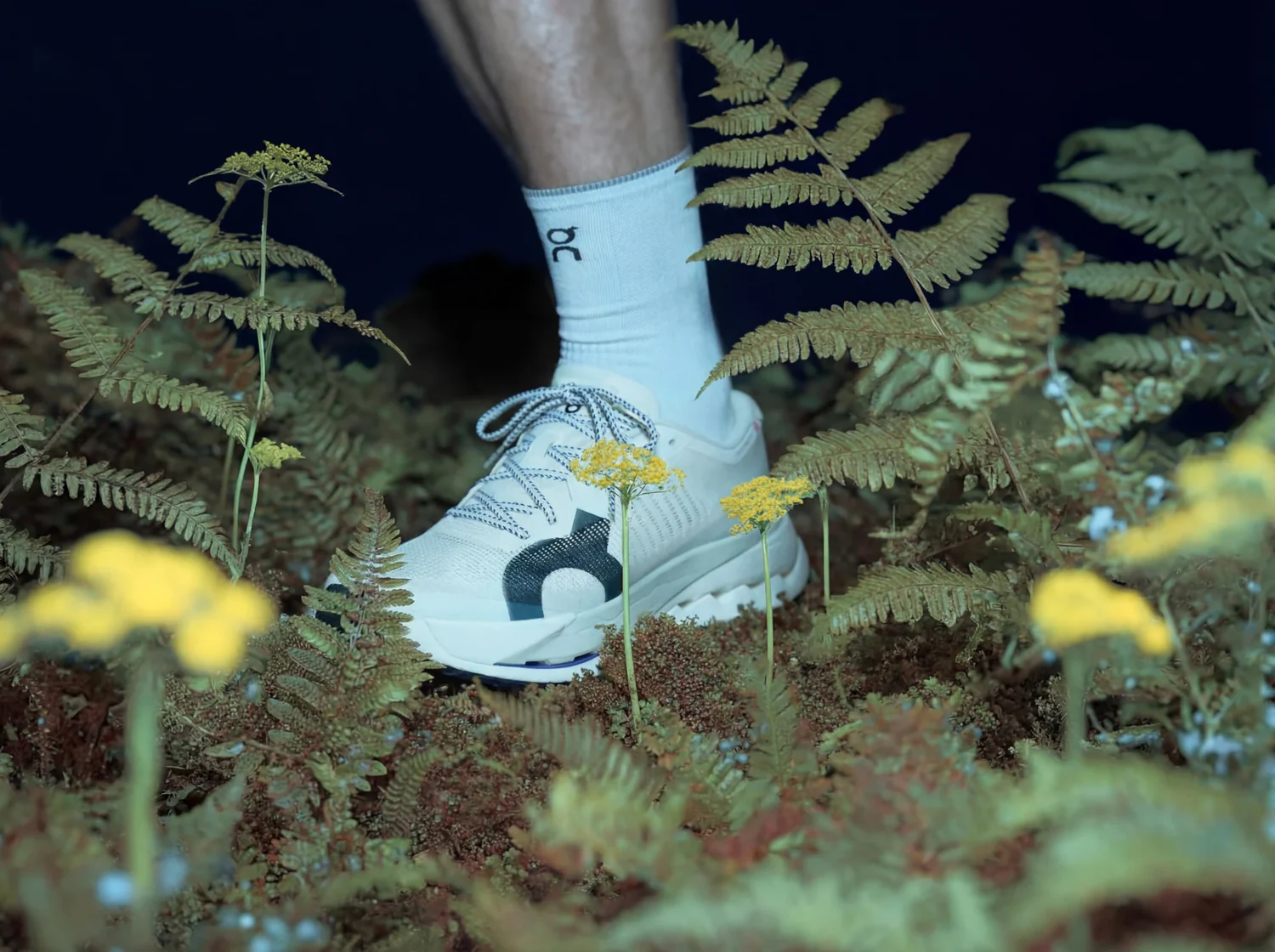 ON Running, sous-bois, fougères